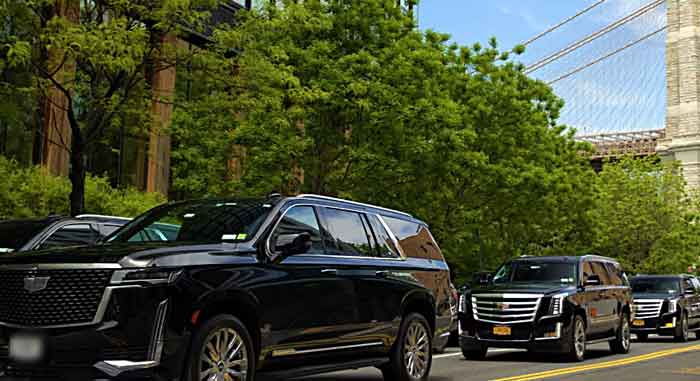 Professional cab drivers Ottawa